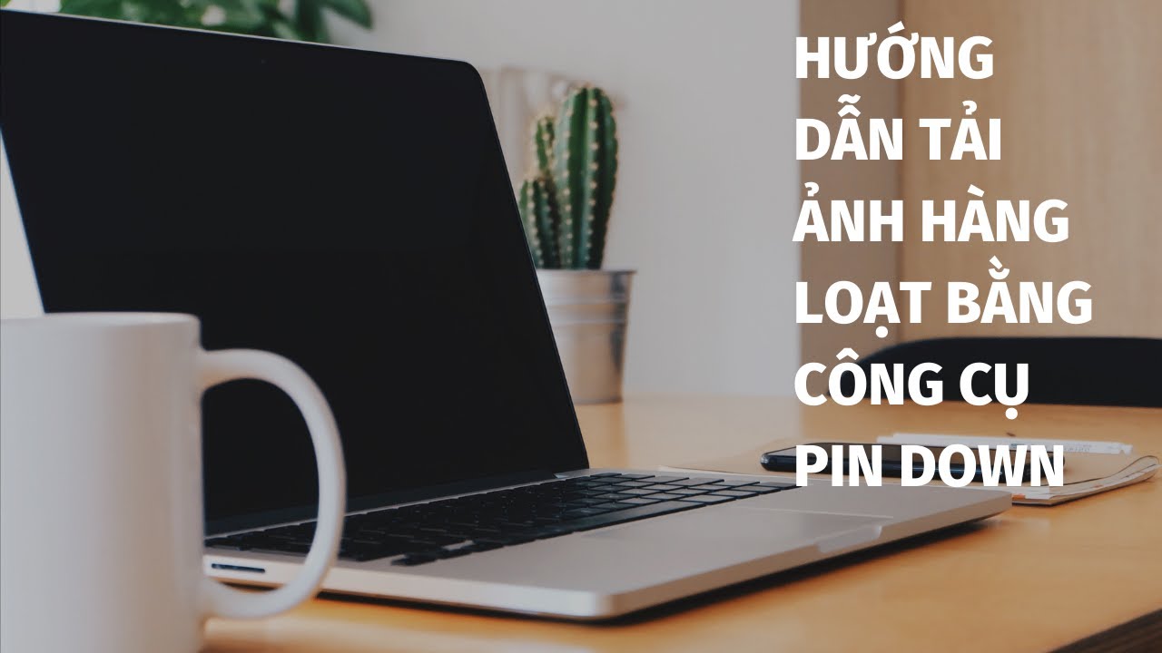 #1 Hướng dẫn tải ảnh hàng loạt bằng công cụ Pin Down Mới Nhất