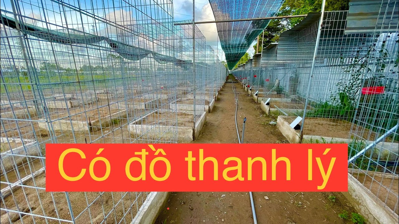 #1 tham quan trại gà DUYÊN TI. ngày 24 tháng 5, 2022 Mới Nhất