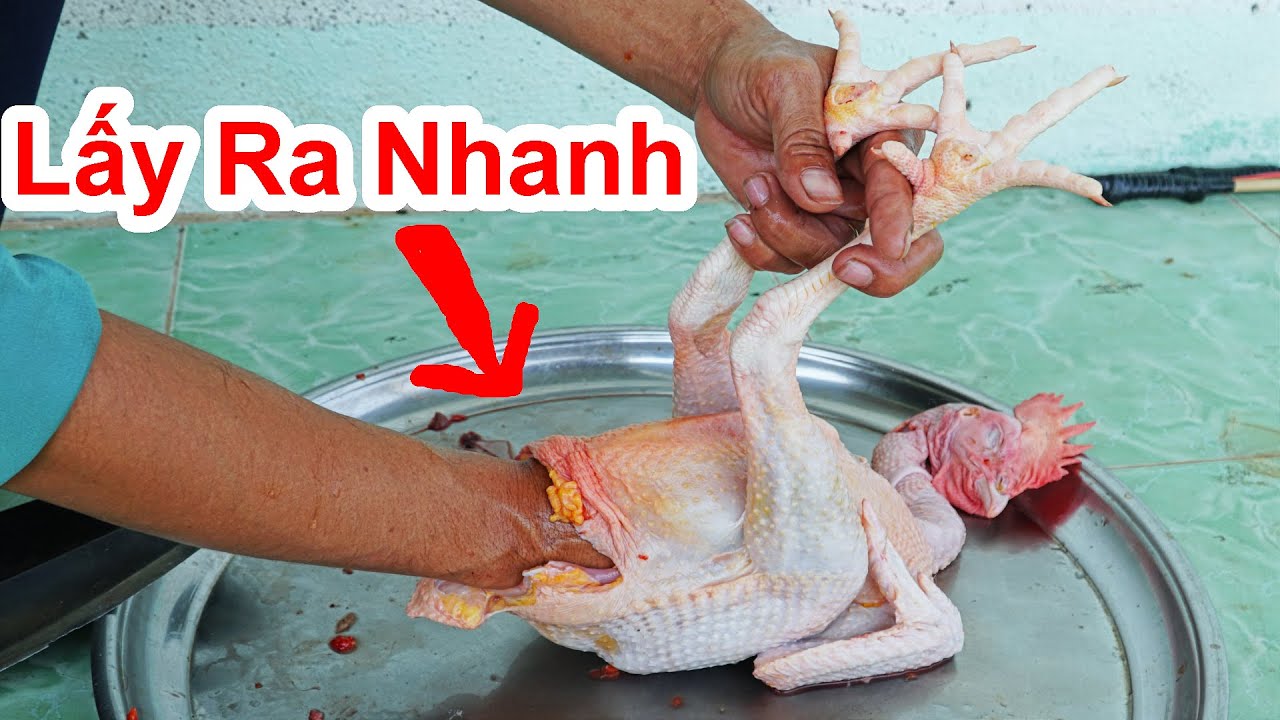 #1 Cách Lấy Lòng Gà Nhanh Nhất Đẹp & Thẫm Mỹ / Mẹo Mổ Bụng Gà Cúng Đơn Giản. dissect beautiful chicken Mới Nhất