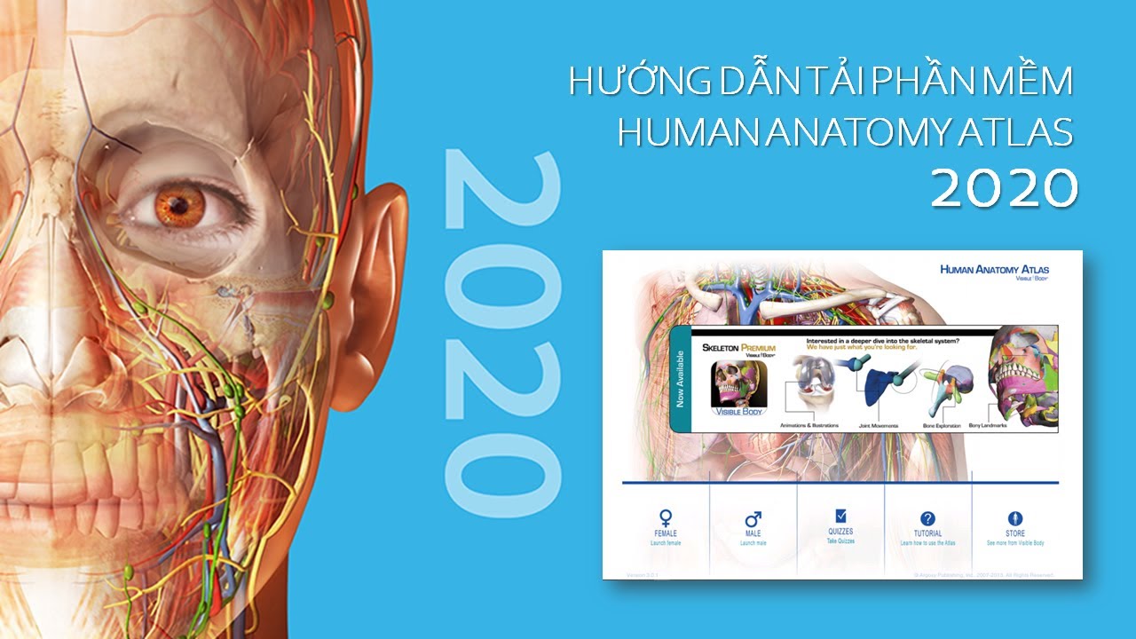 #1 #1 | HƯỚNG DẪN TẢI PHẦN MỀM HUMAN ANATOMY ATLAS 2020 Mới Nhất