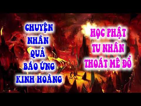 #1 CHUYỆN NHÂN QUẢ Mới Nhất