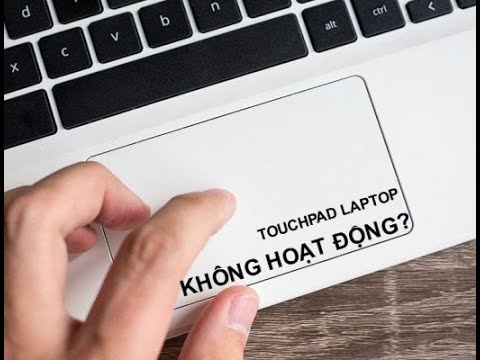 #1 Hướng dẫn khắc phục lỗi chuột cảm ứng không sử dụng được✔/Trên laptop Mới Nhất