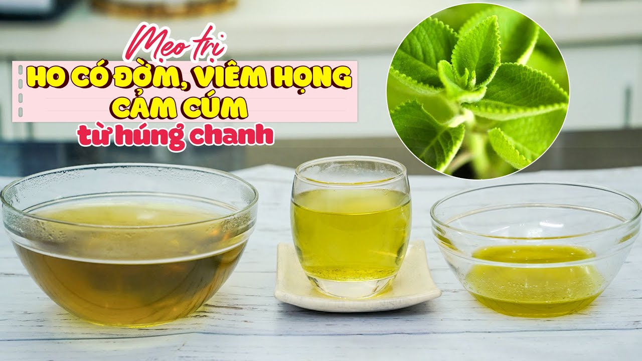 #1 Mẹo Trị Ho Cảm Cúm Với Húng Chanh Đơn Giản Tại Nhà | Feedy VN Mới Nhất