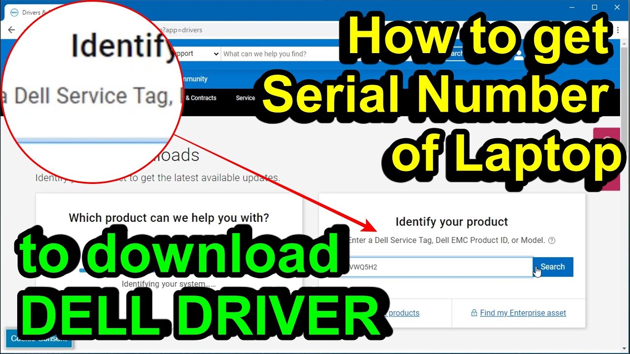 #1 How to find Laptop Serial Number / Download driver of Dell Laptop #SerialNumber #DellDriver Mới Nhất