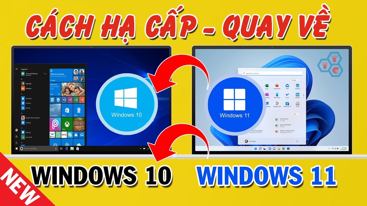 #1 Cách hạ cấp Windows 11 xuống Windows 10 mới nhất đơn giản Mới Nhất