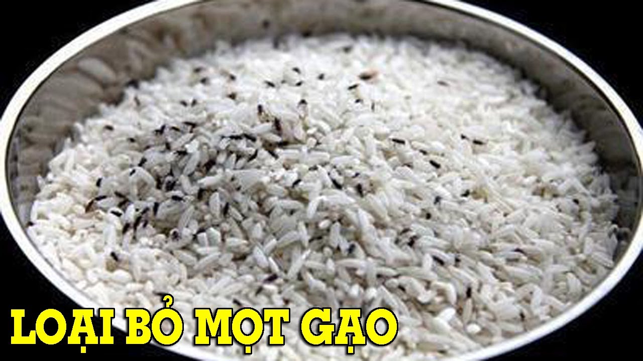 #1 Cách loại bỏ và ngăn ngừa mọt đen trong gạo – Mẹo Vặt Cuộc Sống Mới Nhất