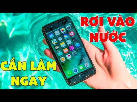 #1 Làm gì khi điện thoại rơi vào nước? Mới Nhất