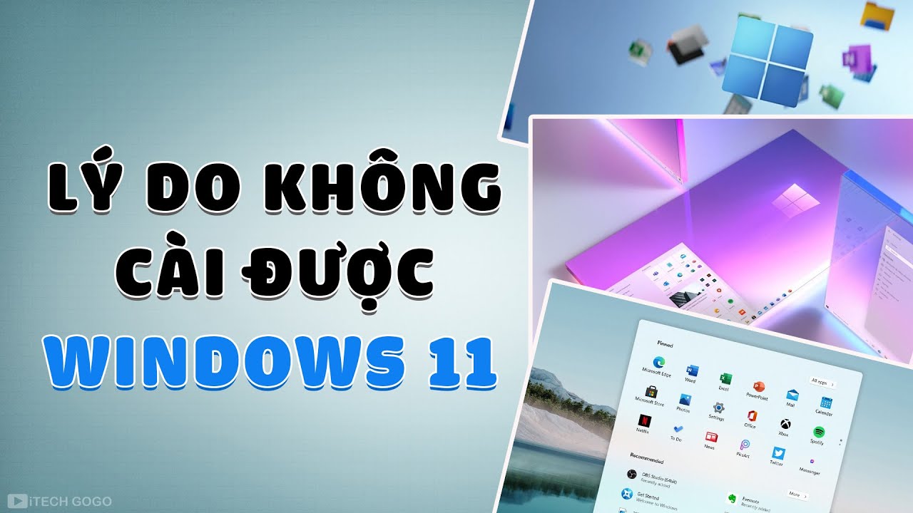 #1 Lý do không cài được Windows 11 Mới Nhất