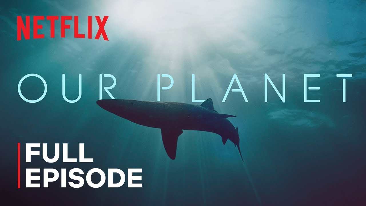 #1 Our Planet | Coastal Seas | FULL EPISODE | Netflix Mới Nhất