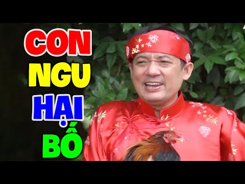 #1 Phim Hài Mới Nhất 2022 | CON NGU HẠI BỐ | Hài Chiến Thắng Hay Nhất 2022 Mới Nhất