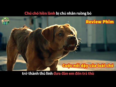 #1 Khi chú chó Hiền Lành bị chủ nhân Ruồng Bỏ – Review phim Cuộc Nổi Dậy Của Loài Chó Mới Nhất