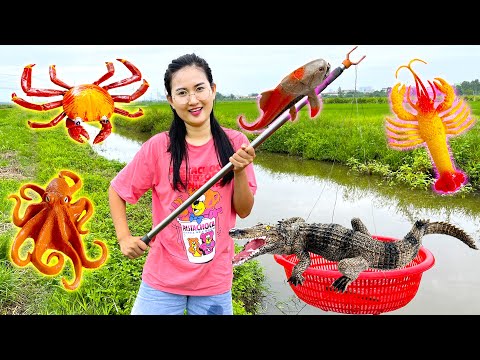 #1 Changcady chơi trò kéo rổ bắt con cá, con ốc và đồ chơi động vật biển – Part 56 Mới Nhất