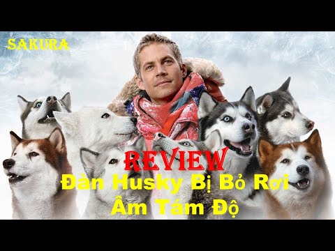 #1 REVIEW PHIM ĐÀN HUSKY BỊ BỎ RƠI || ÂM TÁM ĐỘ || EIGHT BELOW || SAKURA REVIEW Mới Nhất