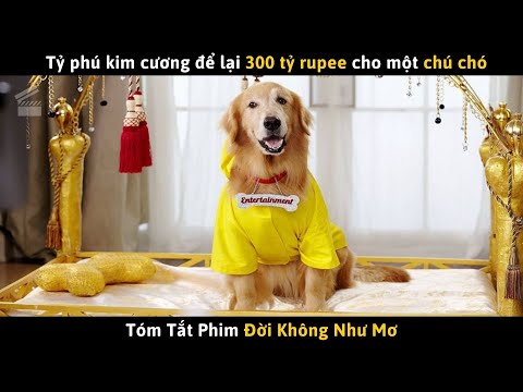 #1 Review Phim Hài ĐỜI KHÔNG NHƯ MƠ | Cuồng Phim Pro Mới Nhất