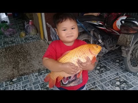 #1 Đồ chơi trẻ em bé pin cá chép khổng lồ ❤ PinPin TV ❤ Baby toys carp giant Mới Nhất