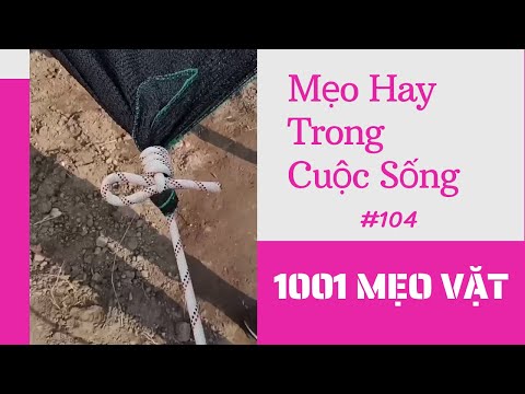 #1 1001 Mẹo Vặt – Mẹo Hay Trong Cuộc Sống (P104) #Shorts #1001meovat Mới Nhất