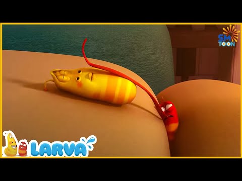 #1 Série de Comédia Engraçada 🐛 Larva Pede Ajuda Ao Ficar Presa 🦗 Melhores Desenhos Animados De Larva Mới Nhất