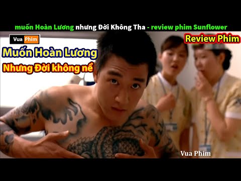 #1 Muốn Hoàn Lương nhưng Đời Không Nể – review phim Hoa Hướng Dương Mới Nhất
