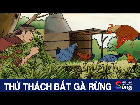 #1 THỬ THÁCH BẮT GÀ RỪNG – Phim hoạt hình – Truyện cổ tích – Tổng hợp hoạt hình hay – Chuyện cổ tích Mới Nhất