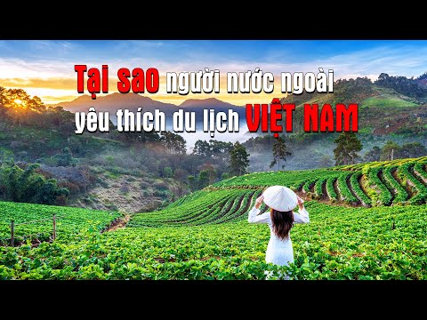 #1 Các Lý Do Du Khách Nước Ngoài Yêu Thích Du Lịch Việt Nam | Tìm Hiểu Quanh Ta Mới Nhất