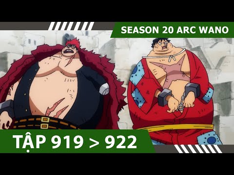 #1 Review One Piece [#SS20] – P7  ARC WANO 💀  Tóm tắt Đảo Hải Tặc Tập 919,920,921,922 Mới Nhất