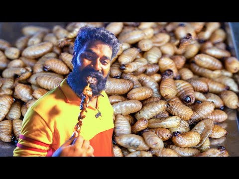 #1 പുഴുവിനെ കഴിക്കാൻ തായ്‌ലാന്റിലേക്ക് | Eating Larva | M4 Tech | Mới Nhất