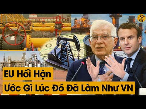 #1 Nga Đưa Ra Chính Sách Mới, Hàng Loạt Nước EU Quay Đầu Hối Hận Ước Lúc Đó Đã Bỏ Phiếu Trắng Giống VN Mới Nhất