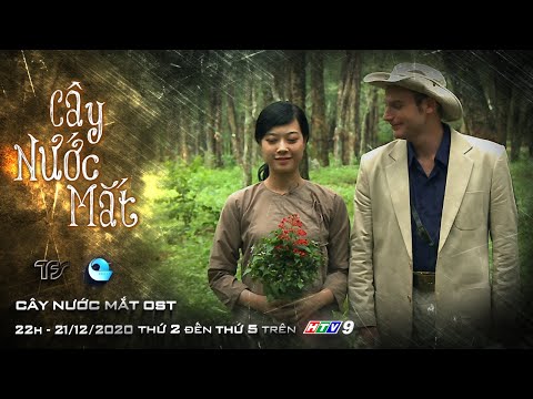 #1 Nhạc phim Cây Nước Mắt (OST) | Nhạc sĩ Phạm Hữu Tâm  | Ca sĩ Tuyết Mai Mới Nhất