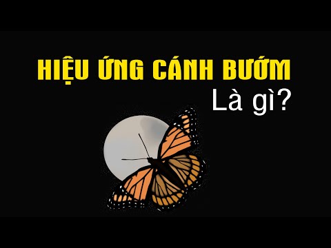 #1 Hiệu ứng cánh bướm là gì? Tại sao thế giới có 1 mà Việt Nam có tận 2 Mới Nhất