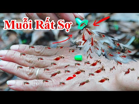 #1 Sẽ Không Có 1 Con Muỗi Nào Dám Bay Đến Gần Bạn Để Hút Máu/ Mẹo Diệt Đuổi Muỗi Vằn Trong Nhà Hiệu Quả Mới Nhất