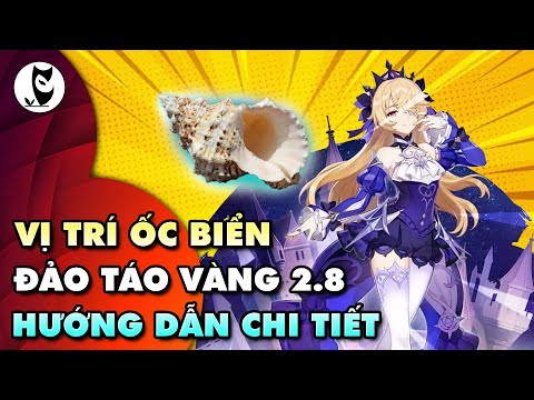 #1 Hướng Dẫn Nhặt Ốc Biển Đảo Táo Vàng 2.8 Chi Tiết Mới Nhất