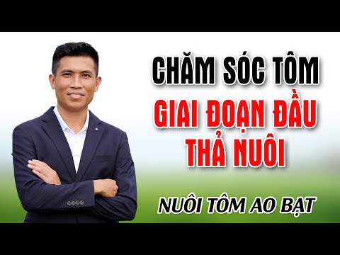 #1 NUÔI TÔM TRÊN AO LÓT BẠT – CÁCH CHĂM SÓC TÔM GIAI ĐOẠN ĐẦU THẢ NUÔI | Trần Quang Huy Official Mới Nhất