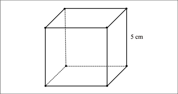 Một hình lập phương có cạnh là 5cm
