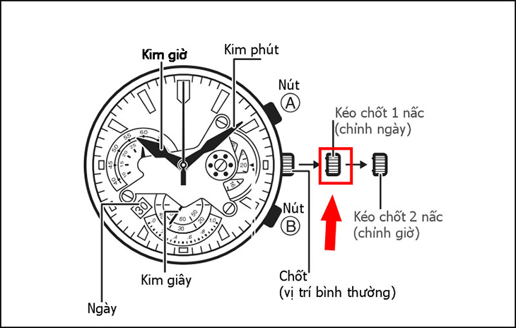 Cách đặt ngày của đồng hồ 5 kim