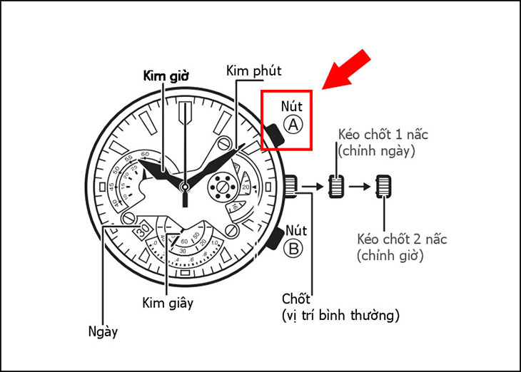 Đầu tiên nhấn nút A trên thiết bị để kích hoạt chế độ thể thao.  Sau khi nhấn nút, kim giây thể thao bắt đầu di chuyển.