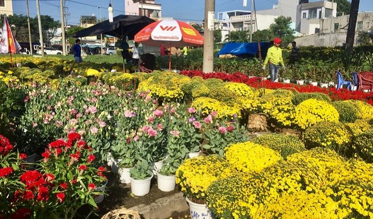 Priorisieren Sie den Kauf von Blumen mit Wurzeln (Topfblumen)