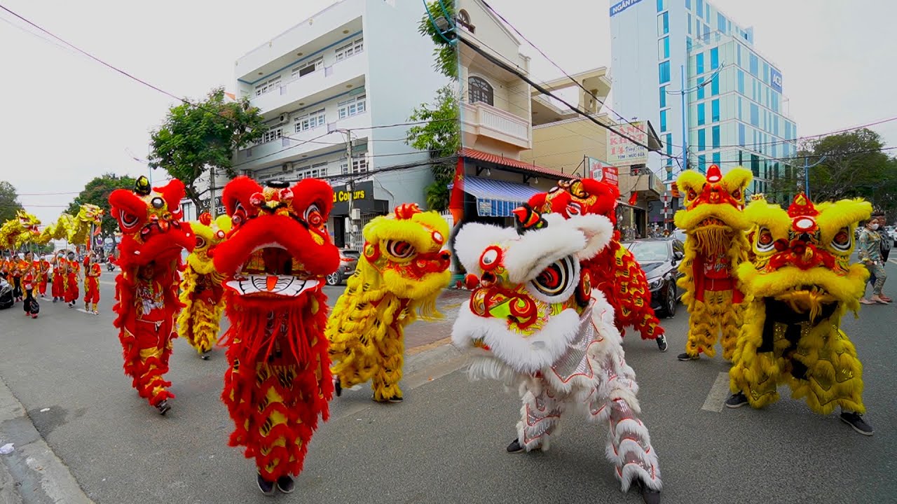 Tầm quan trọng của số lượng Sư tử đại diện