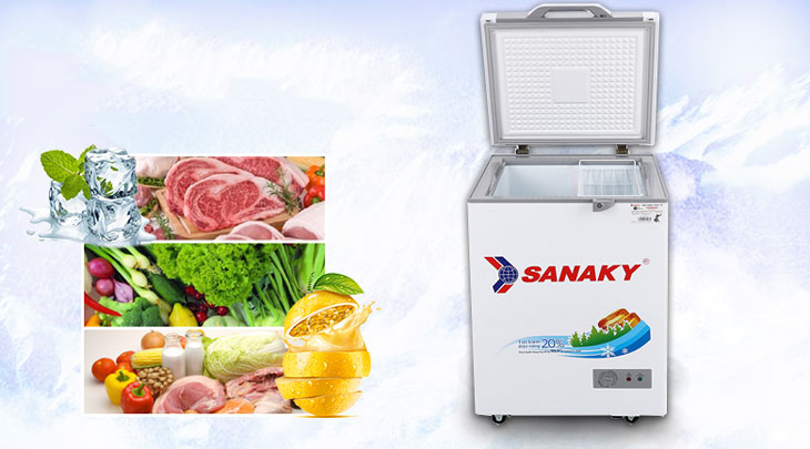 Tủ đông Sanaky 100 lít VH-1599HYK