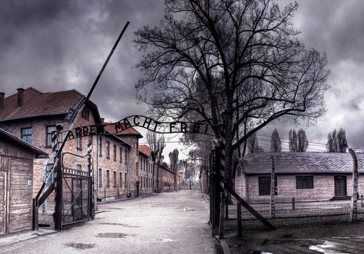 Auschwitz: The Nazis and the Final Solution