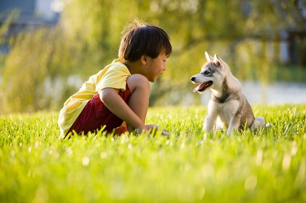 Tặng chó con cho trẻ em