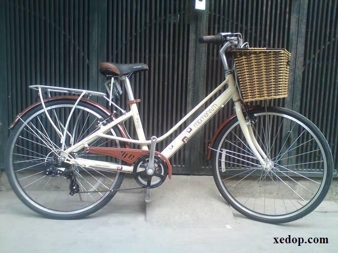 Hướng dẫn dành cho người tìm mua xe đạp Hybrid – City bike