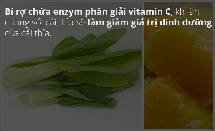 Hang bí ngô Bok Choy