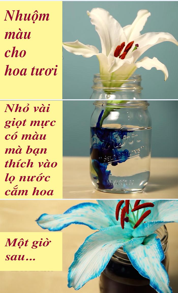 Hoa loa kèn trắng đã chuyển sang màu xanh lá cây