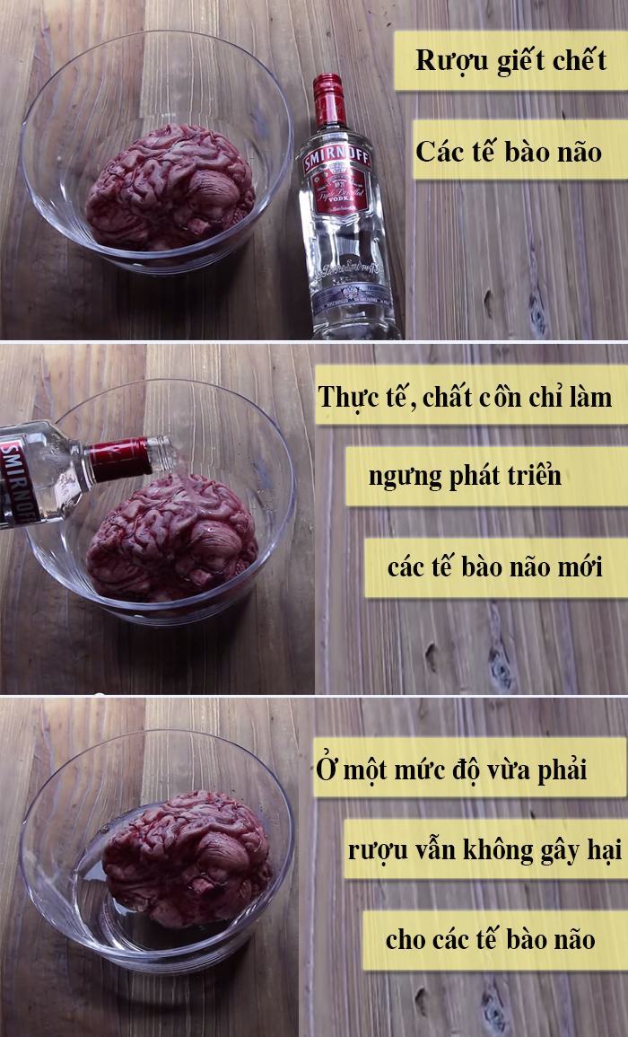 Sét không đánh hai lần một nơi, rượu làm tổn hại đến não… có phải là thật?