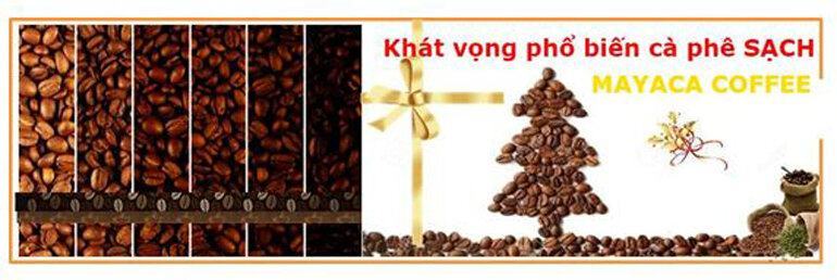 Thánh địa MaYaCa Coffee và “Khát vọng phổ biến cà phê SẠCH”