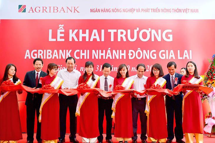 Lễ khai trương chi nhánh Agribank Đông Gia Lai