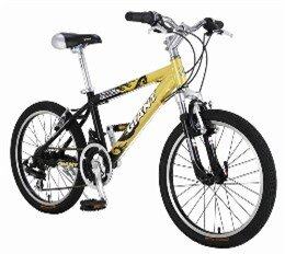 Xe đạp trẻ em MTB Giant Chaser 520 20