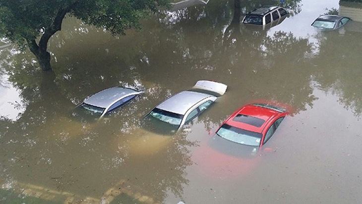 Lũ cao quá, thoát ra ngoài cứu sống