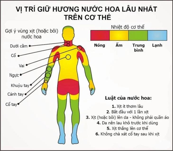 Chọn đúng nơi để xịt nước hoa