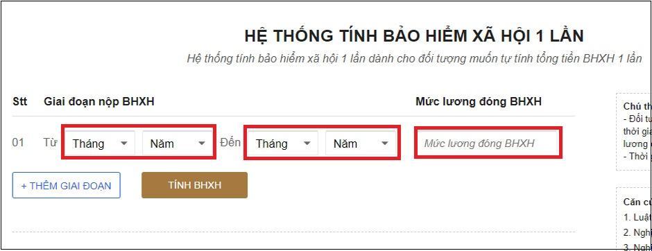 Nhập giờ làm việc của bạn và các khoản đóng góp an sinh xã hội tương ứng.  Chọn Tính toán tự động để hệ thống được tính toán